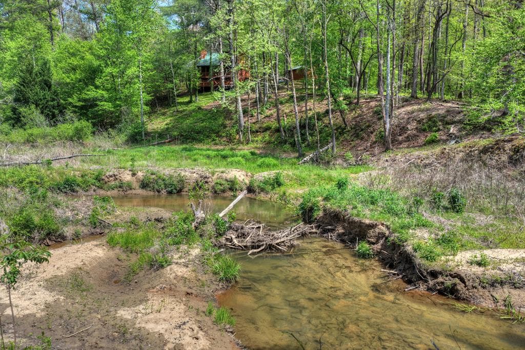 4081 Whitepath Road, Cherry Log GA 30522 - Photo