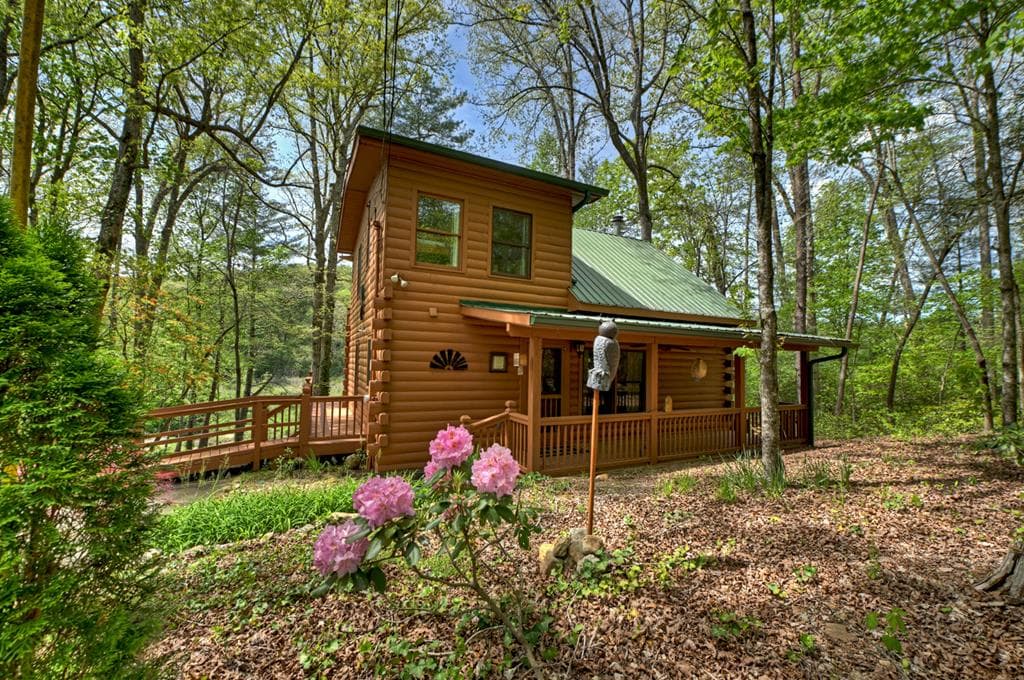 4081 Whitepath Road, Cherry Log GA 30522 - Photo