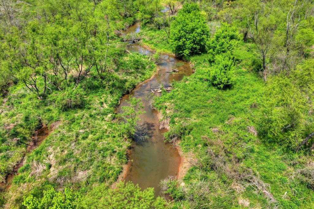 4081 Whitepath Road, Cherry Log GA 30522 - Photo
