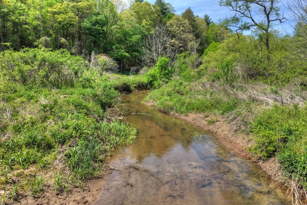 4081 Whitepath Road, Cherry Log GA 30522 - Photo