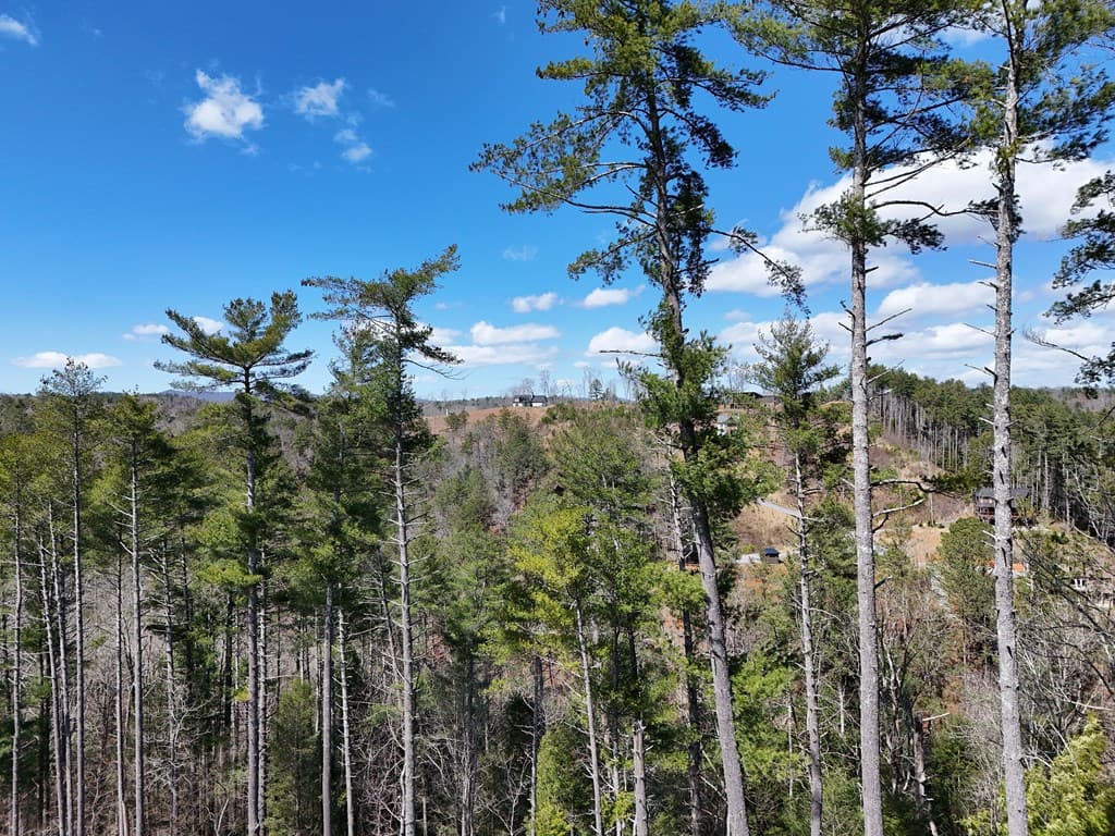 Lot 253 High River Crossing, Ellijay GA 30540 - Photo