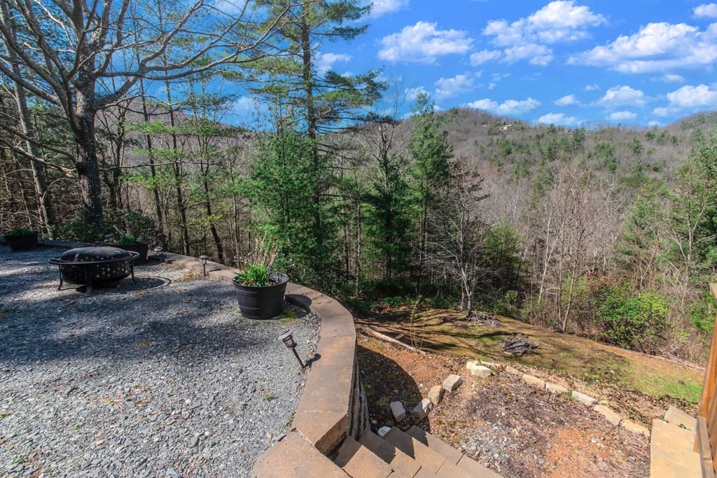204 Fortenberry Creek Road, Blairsville GA 30512 - Photo