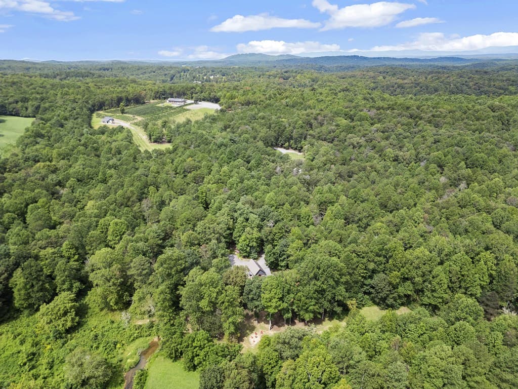 530 Burleson Road, Ellijay GA 30536 - Photo