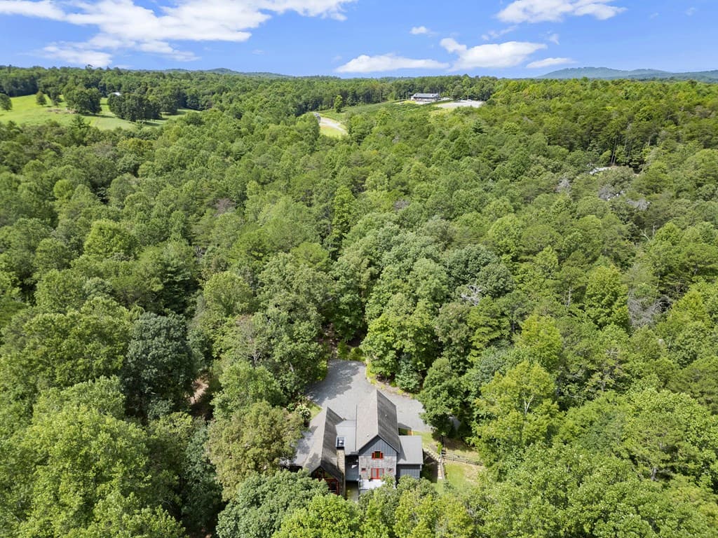 530 Burleson Road, Ellijay GA 30536 - Photo