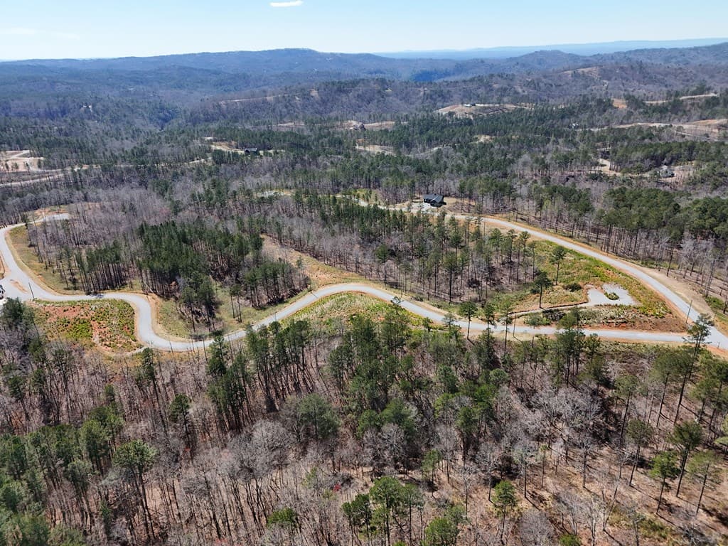 155 Shallow Water Trail, Talking Rock GA 30175 - Photo