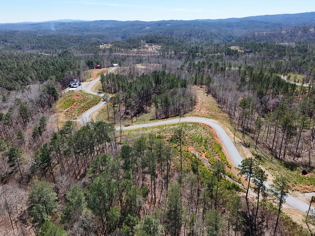 155 Shallow Water Trail, Talking Rock GA 30175 - Photo