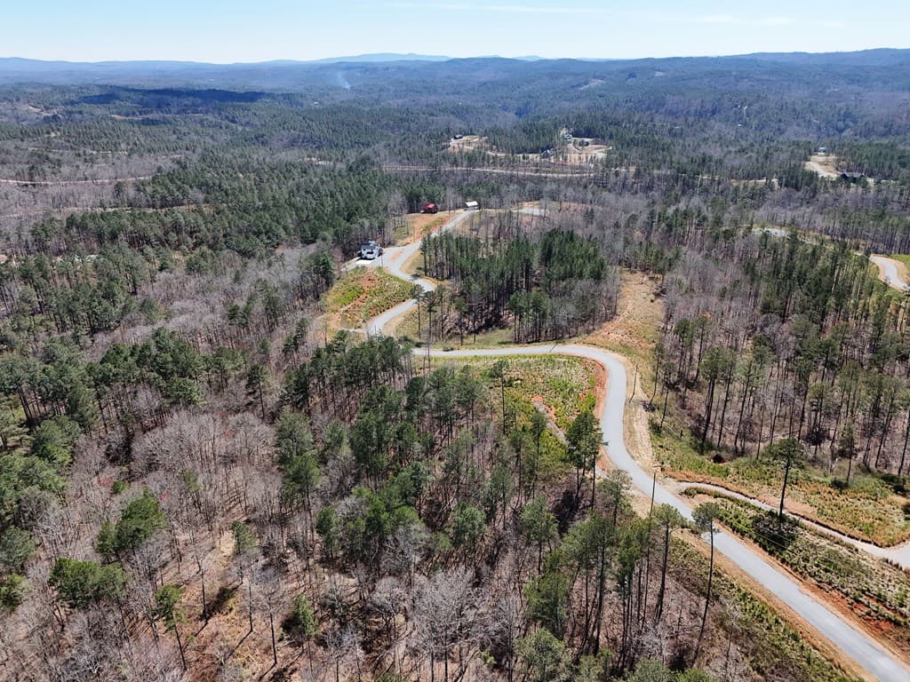 155 Shallow Water Trail, Talking Rock GA 30175 - Photo