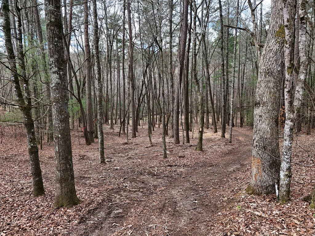 Lot 44A Synacia Drive, Mineral Bluff GA 30559 - Photo