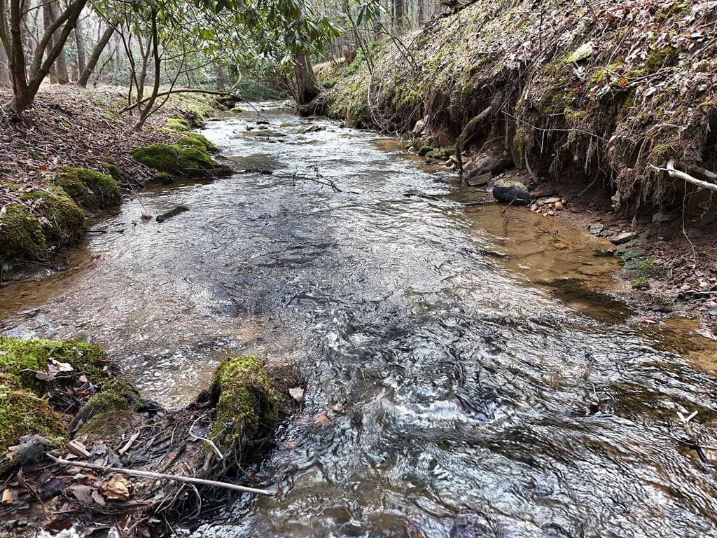 Lot 44A Synacia Drive, Mineral Bluff GA 30559 - Photo