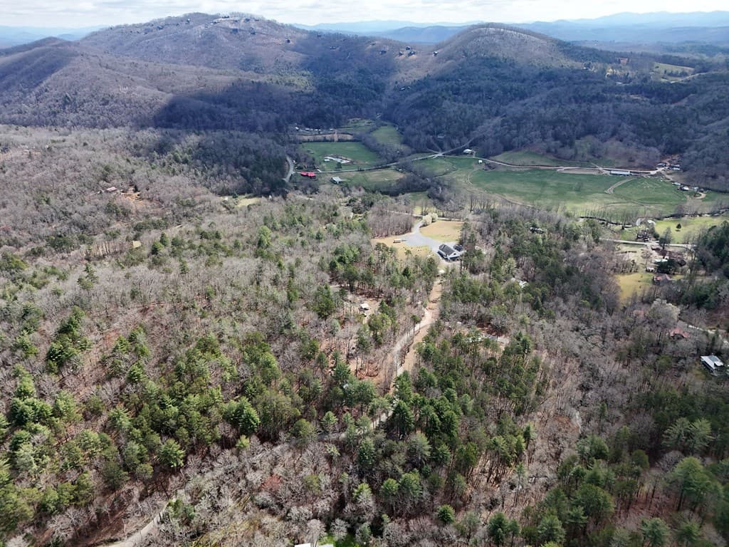 Lot 44A Synacia Drive, Mineral Bluff GA 30559 - Photo