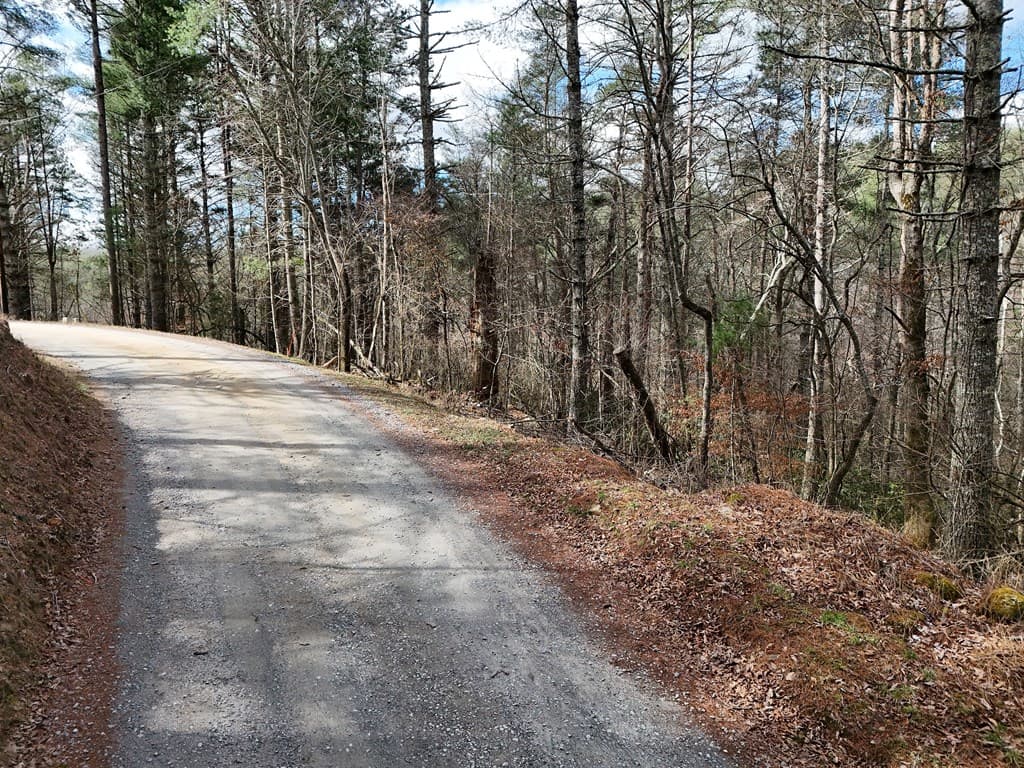 Lot 44A Synacia Drive, Mineral Bluff GA 30559 - Photo