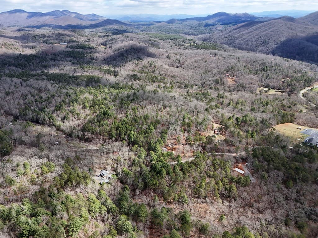 Lot 44A Synacia Drive, Mineral Bluff GA 30559 - Photo