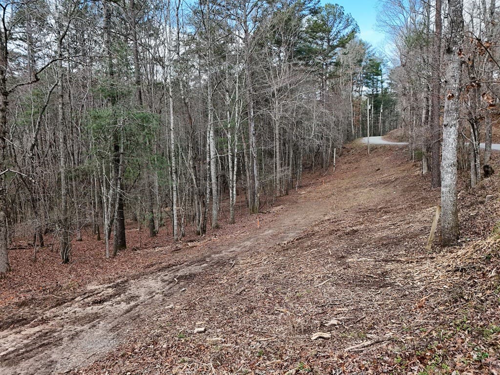 Lot 45B Synacia Drive, Mineral Bluff GA 30559 - Photo