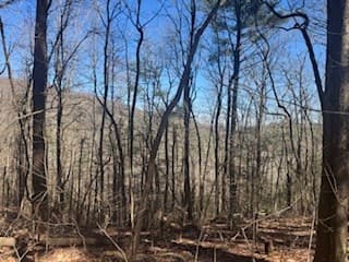 Lot 14 Butler Creek Road, Cherry Log GA 30522 - Photo
