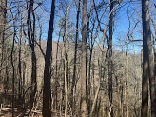 Lot 14 Butler Creek Road, Cherry Log GA 30522 - Photo
