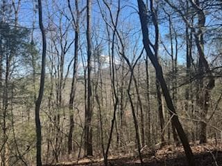 Lot 14 Butler Creek Road, Cherry Log GA 30522 - Primary photo