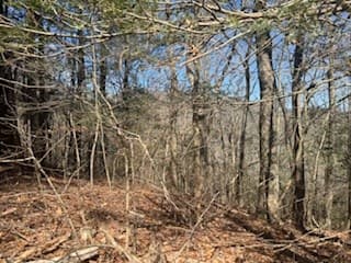 Lot 14 Butler Creek Road, Cherry Log GA 30522 - Photo