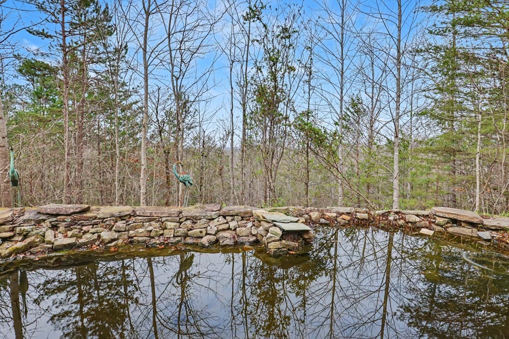368 Sierra Springs Drive, Murphy NC 28906 - Photo