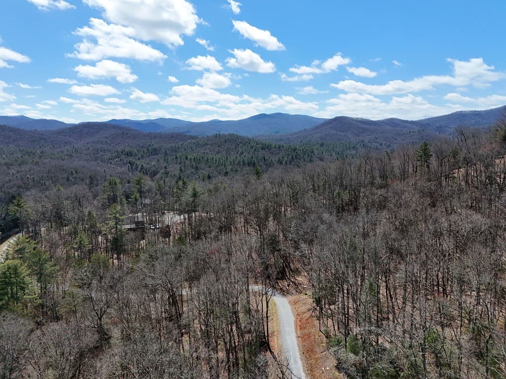 Lot 9 Native Trail, Blue Ridge GA 30513 - Photo