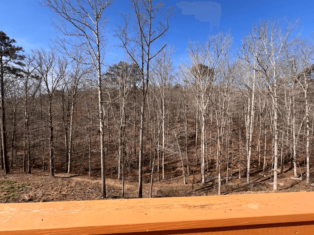 269 Grand Circle, Jasper GA 30143 - Photo
