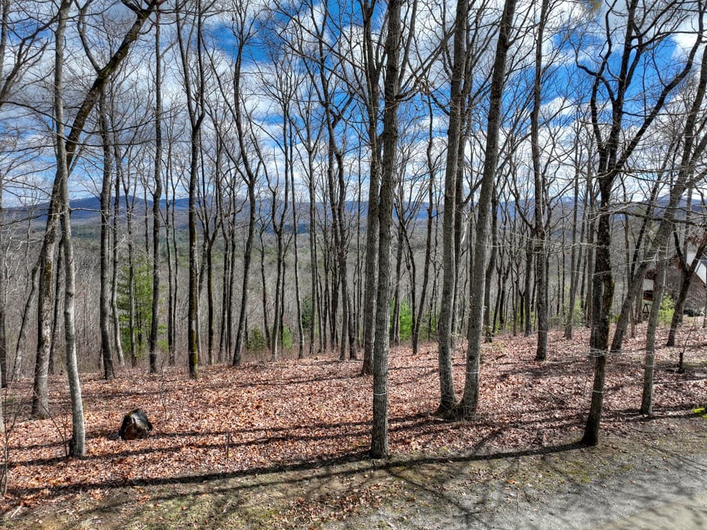 LT 14R Tanager Trail, Ellijay GA 30536 - Photo
