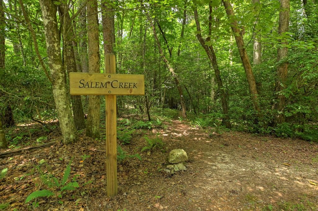 LT 14R Tanager Trail, Ellijay GA 30536 - Photo