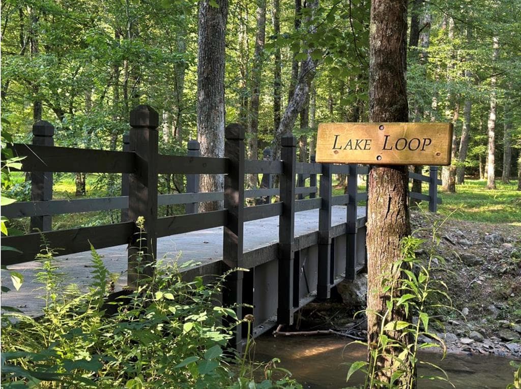 LT 14R Tanager Trail, Ellijay GA 30536 - Photo