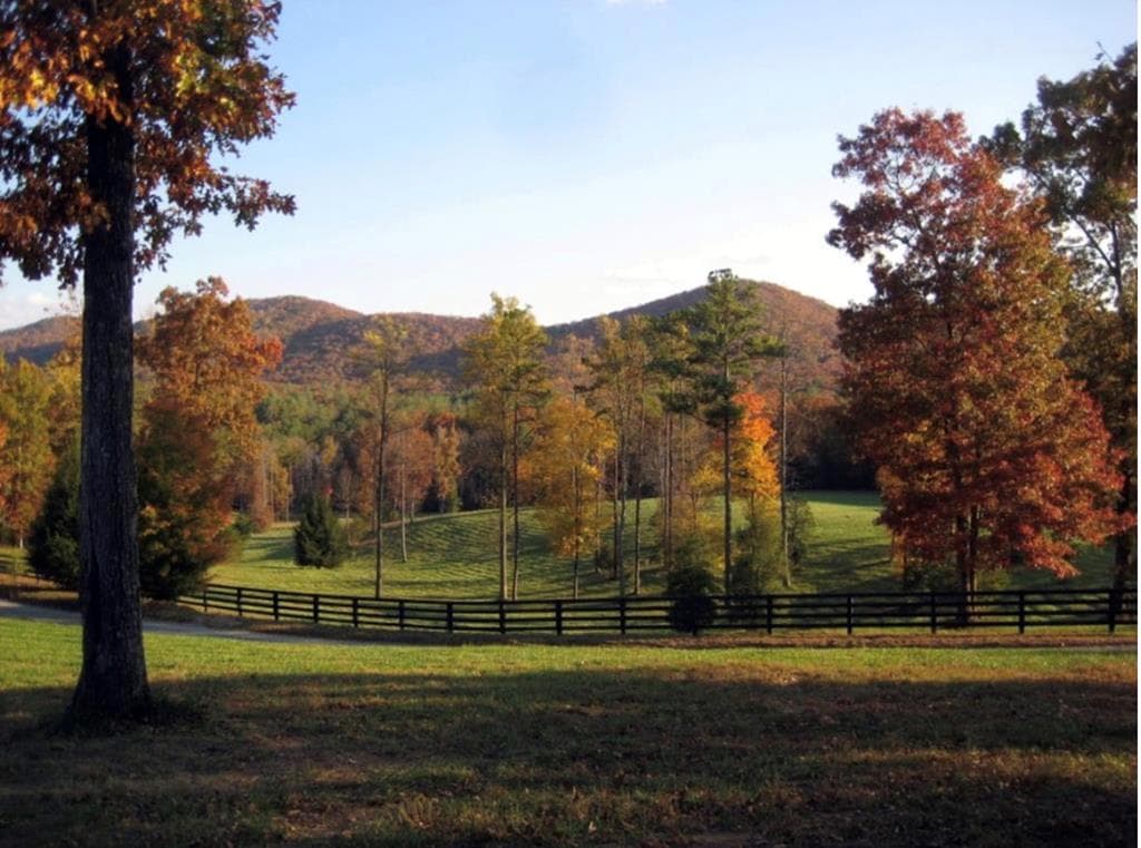 LT 14R Tanager Trail, Ellijay GA 30536 - Photo