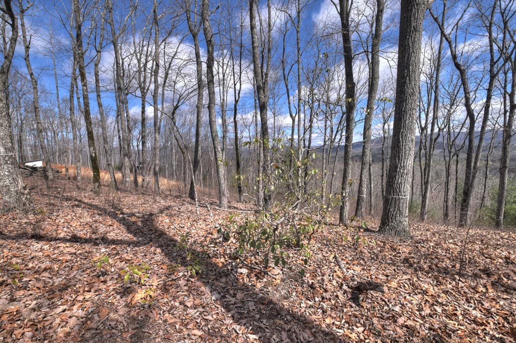 LT 14R Tanager Trail, Ellijay GA 30536 - Photo