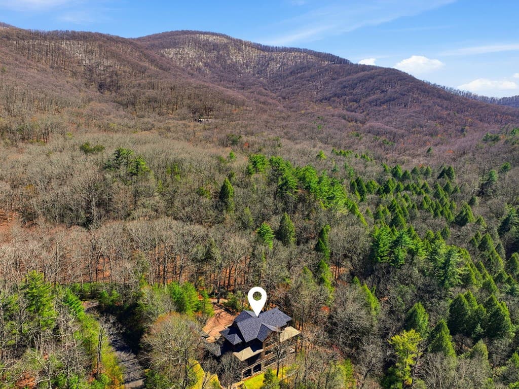 124 Wilderness Way, Ellijay GA 30536 - Photo