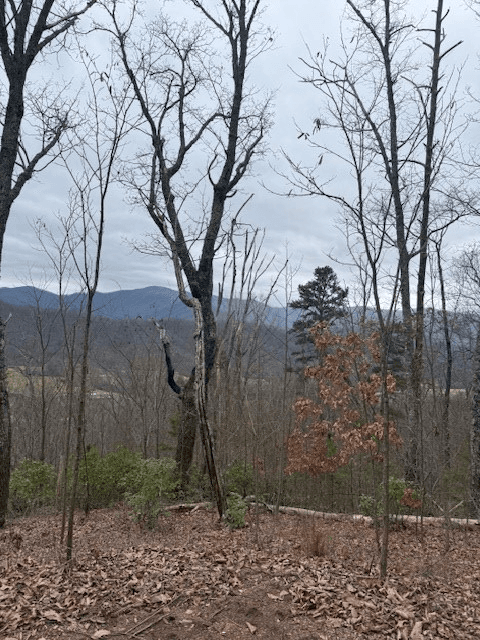 00 Ethan Ridge, Hayesville NC 28909 - Photo