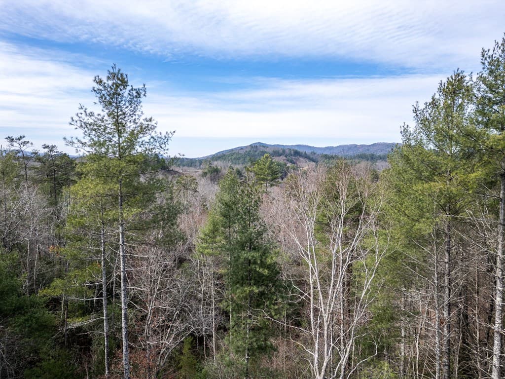325 River Mountain Road, Murphy NC 28906 - Photo