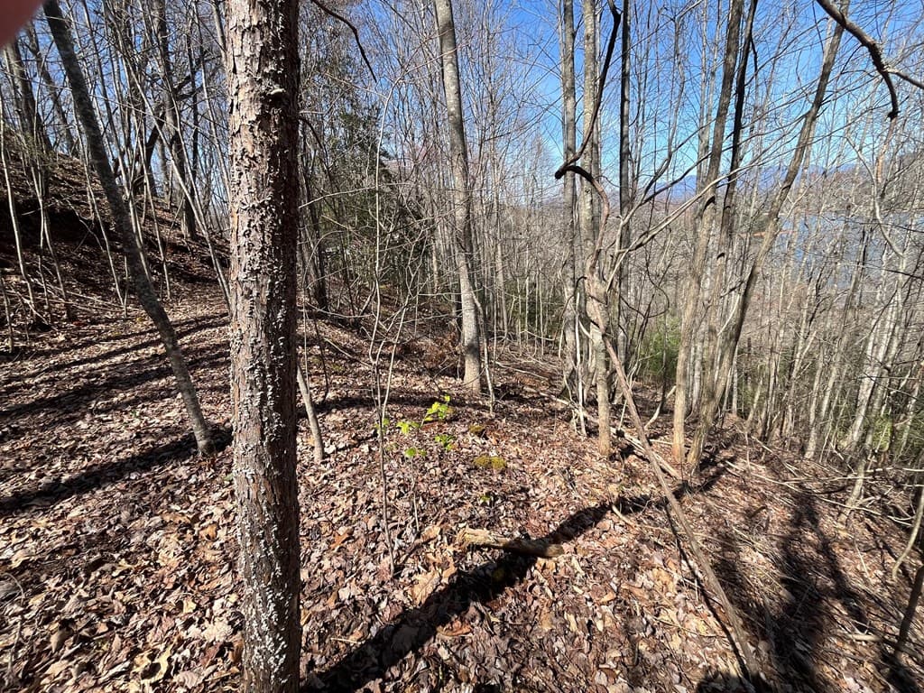 Tract 1 Brer Fox Ridge, Hiawassee GA 30546 - Photo