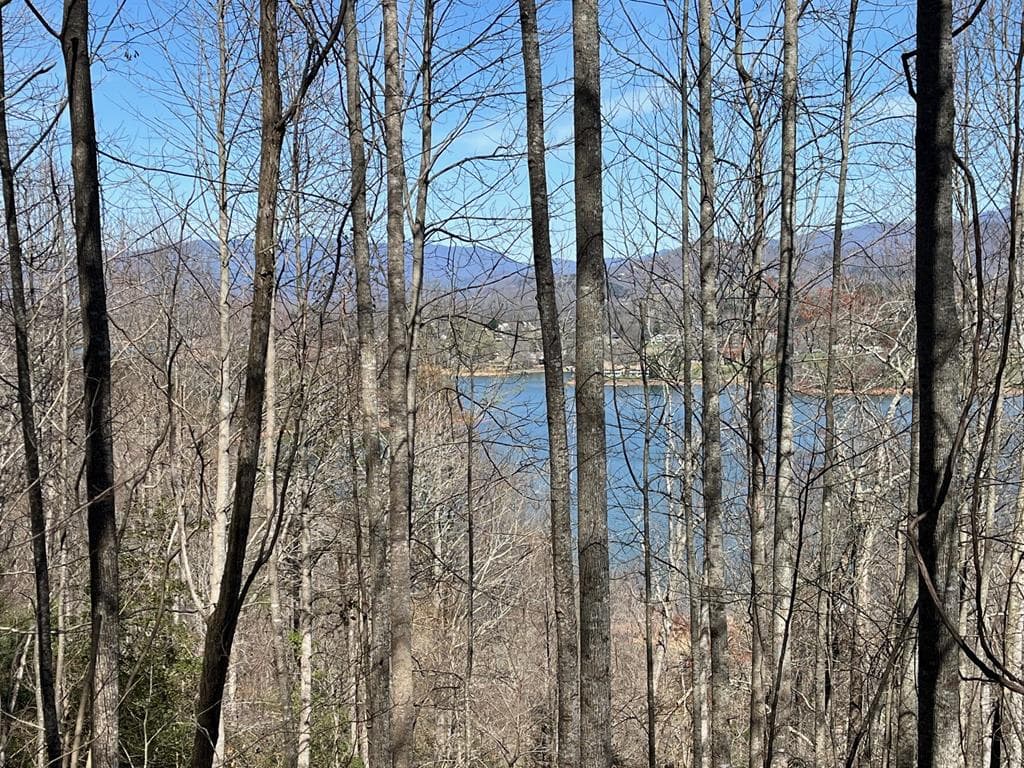 Tract 1 Brer Fox Ridge, Hiawassee GA 30546 - Primary photo