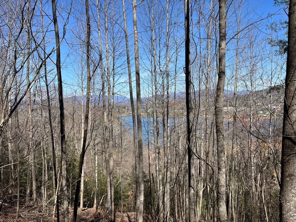 Tract 1 Brer Fox Ridge, Hiawassee GA 30546 - Photo