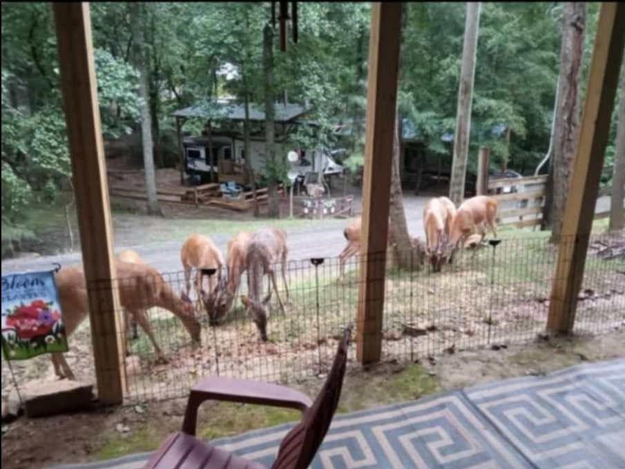 263 17th Street, Ellijay GA 30540 - Photo