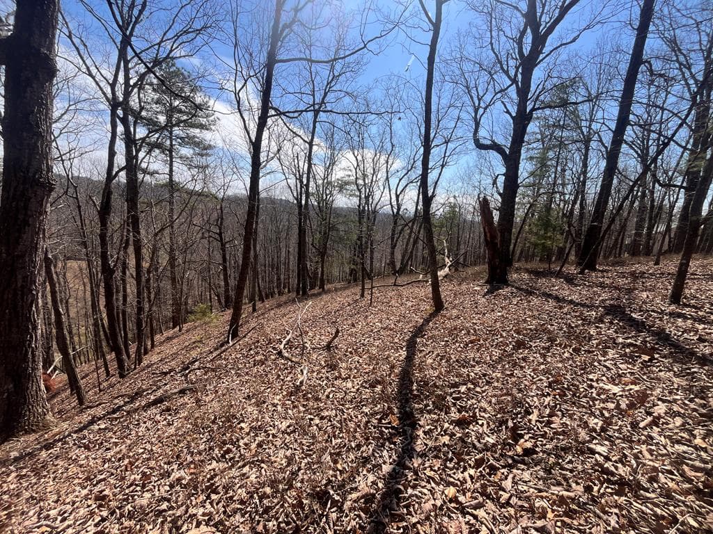 Lt 156 Drena Drive, Ellijay GA 30540 - Primary photo