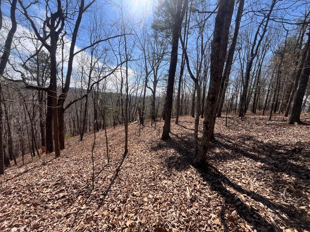 Lt 156 Drena Drive, Ellijay GA 30540 - Photo
