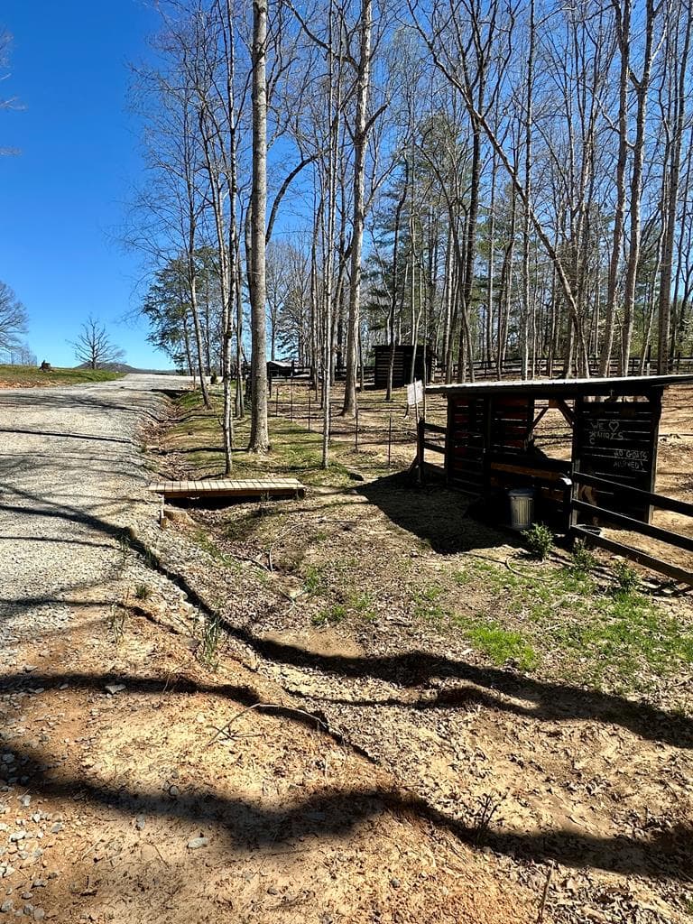 554 Tipton Springs Road, Morganton GA 30560 - Photo