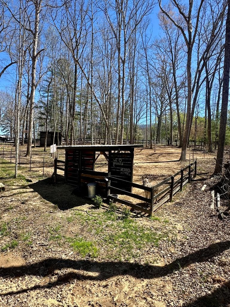 554 Tipton Springs Road, Morganton GA 30560 - Photo