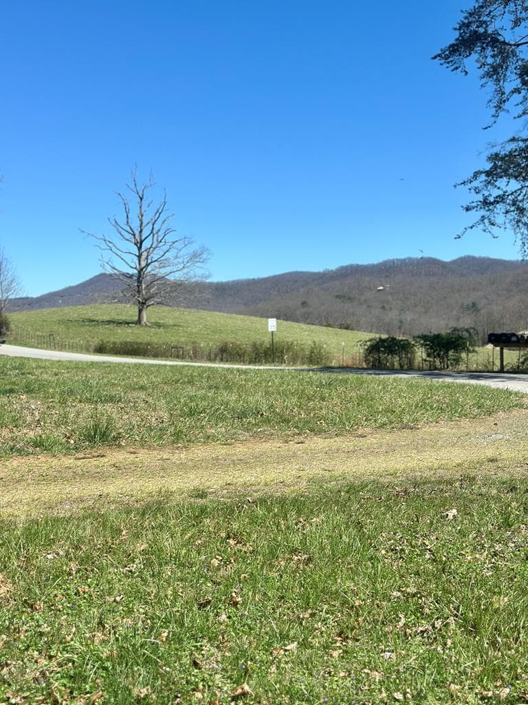 554 Tipton Springs Road, Morganton GA 30560 - Photo