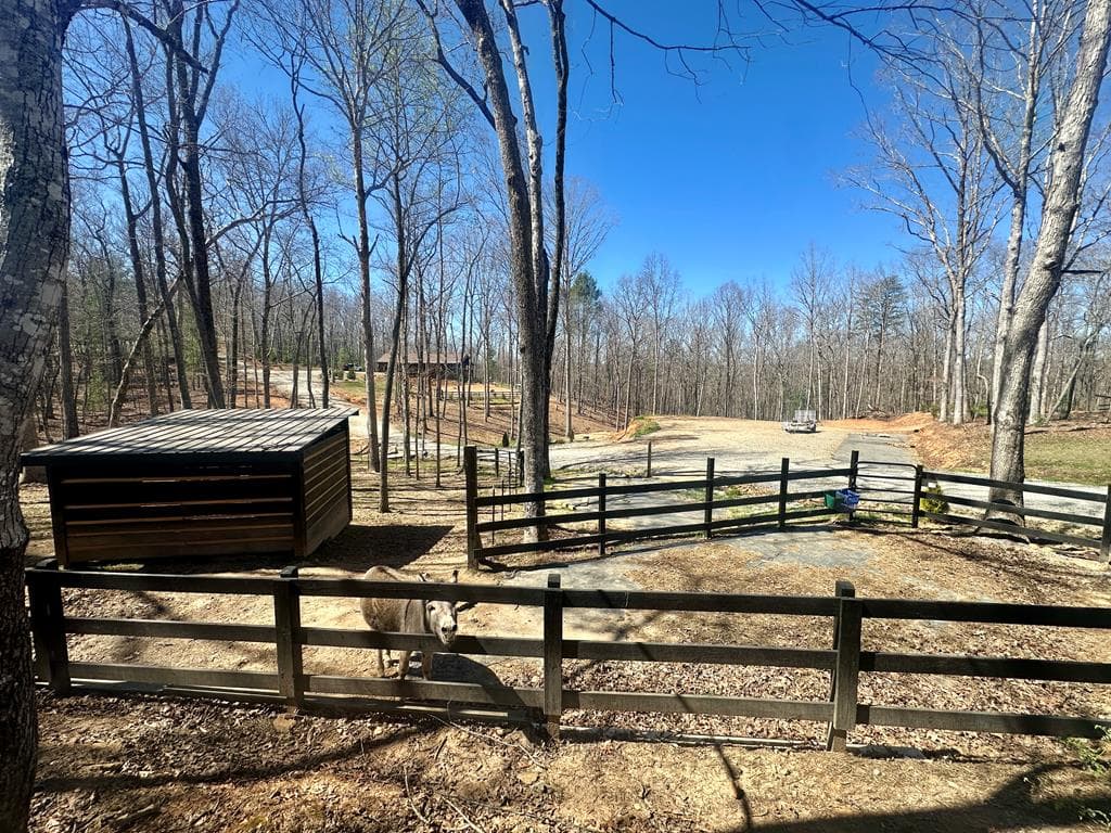 554 Tipton Springs Road, Morganton GA 30560 - Photo