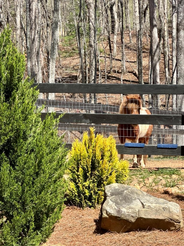 554 Tipton Springs Road, Morganton GA 30560 - Photo