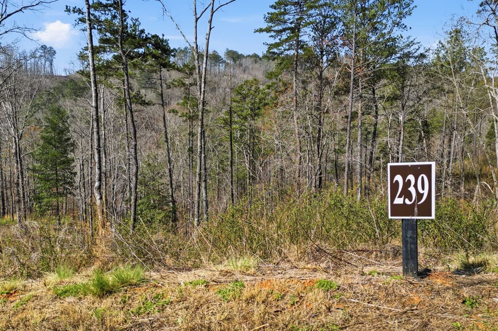 lot 239 Spear Point Dr, Talking Rock GA 30175 - Photo