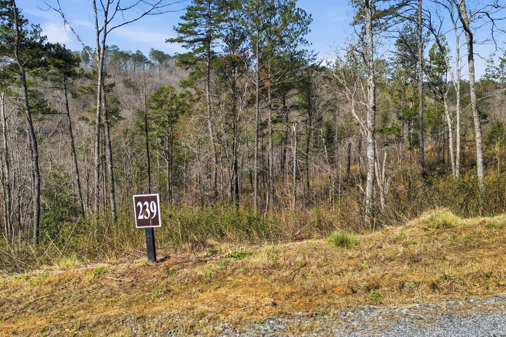 lot 239 Spear Point Dr, Talking Rock GA 30175 - Photo