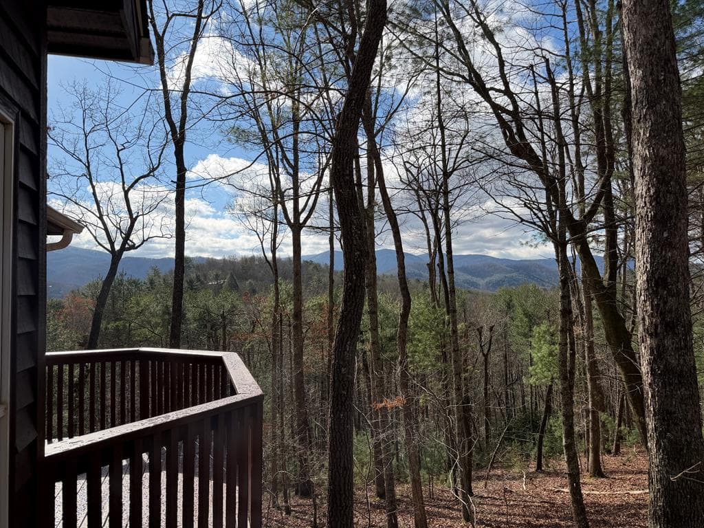 1183 Bear Paw Trail, Blue Ridge GA 30513 - Photo
