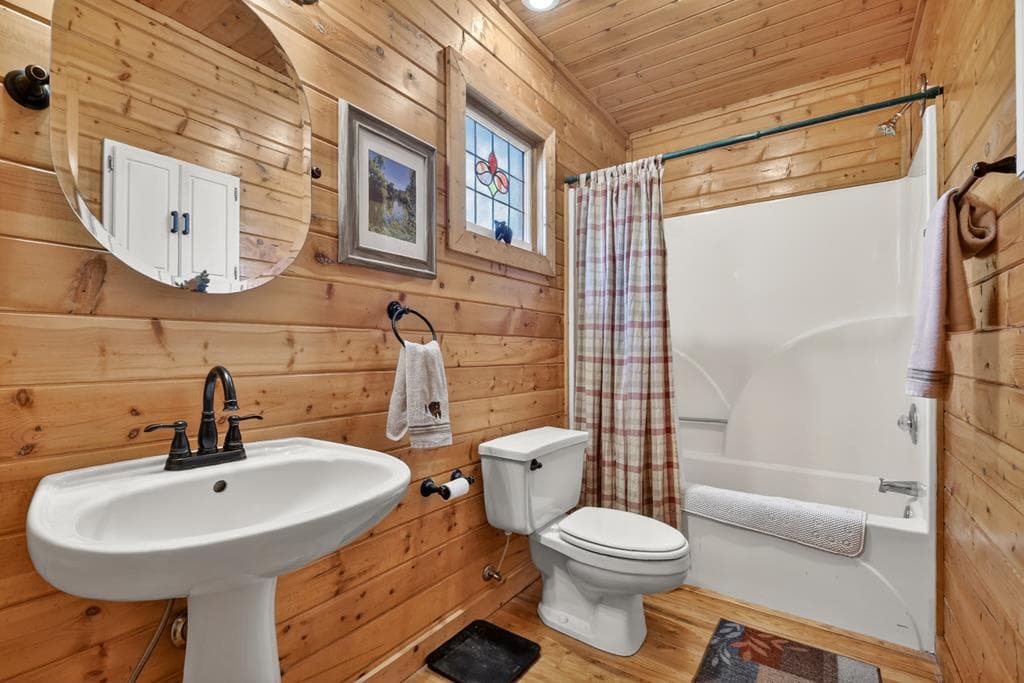 1183 Bear Paw Trail, Blue Ridge GA 30513 - Photo