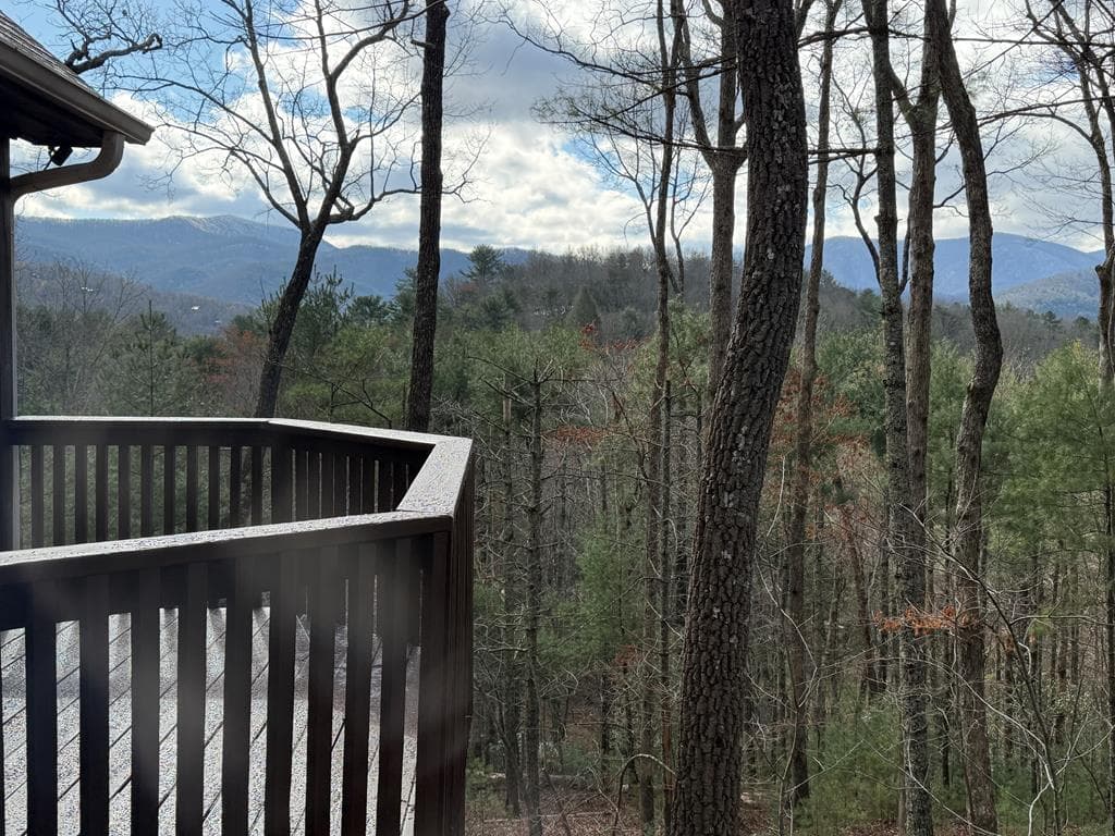 1183 Bear Paw Trail, Blue Ridge GA 30513 - Photo