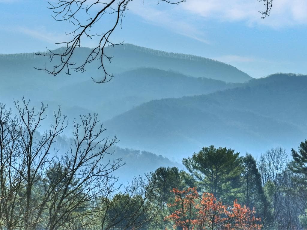 1183 Bear Paw Trail, Blue Ridge GA 30513 - Photo