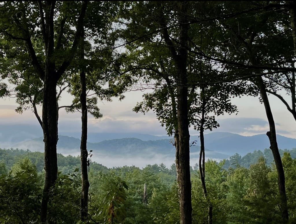 1183 Bear Paw Trail, Blue Ridge GA 30513 - Photo